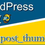 投稿にアイキャッチ画像が登録されているかをチェックする関数「has_post_thumbnail」：WordPress関数まとめ